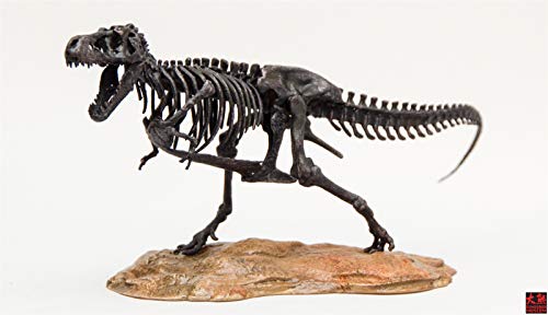 1/72 ティラノサウルス Tレックス T-REX 恐竜 骨格 リアル フィギュア PVC プラモデル おもちゃ 模型 プレゼント プレミアム 15cm級 オリジナル 塗装済 完成品 台座付き
