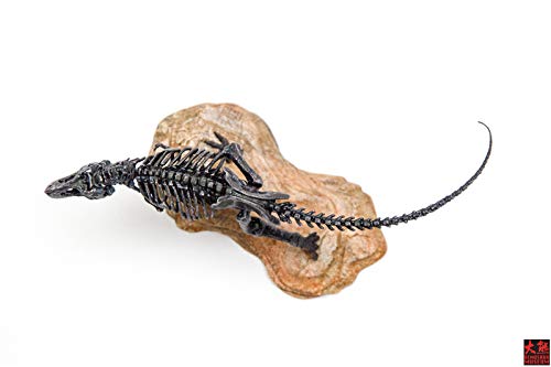 1/72 ティラノサウルス Tレックス T-REX 恐竜 骨格 リアル フィギュア PVC プラモデル おもちゃ 模型 プレゼント プレミアム 15cm級 オリジナル 塗装済 完成品 台座付き