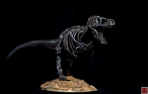 1/72 ティラノサウルス Tレックス T-REX 恐竜 骨格 リアル フィギュア PVC プラモデル おもちゃ 模型 プレゼント プレミアム 15cm級 オリジナル 塗装済 完成品 台座付き