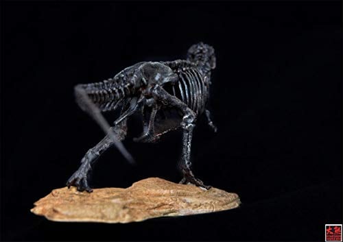 1/72 ティラノサウルス Tレックス T-REX 恐竜 骨格 リアル フィギュア PVC プラモデル おもちゃ 模型 プレゼント プレミアム 15cm級 オリジナル 塗装済 完成品 台座付き