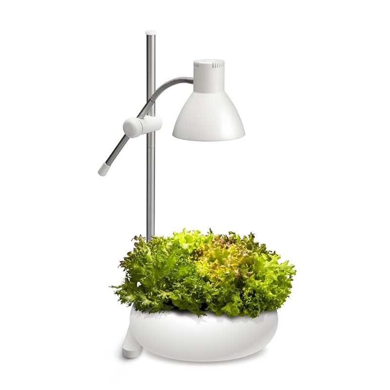 即納:GENTOS(ジェントス) テーブルランプ 植物育生ライト 800ルーメン IK-S72GWH 即納:GENTOS(ジェントス) テーブルランプ 植物育生ライト 800ルーメン IK-S72GWH