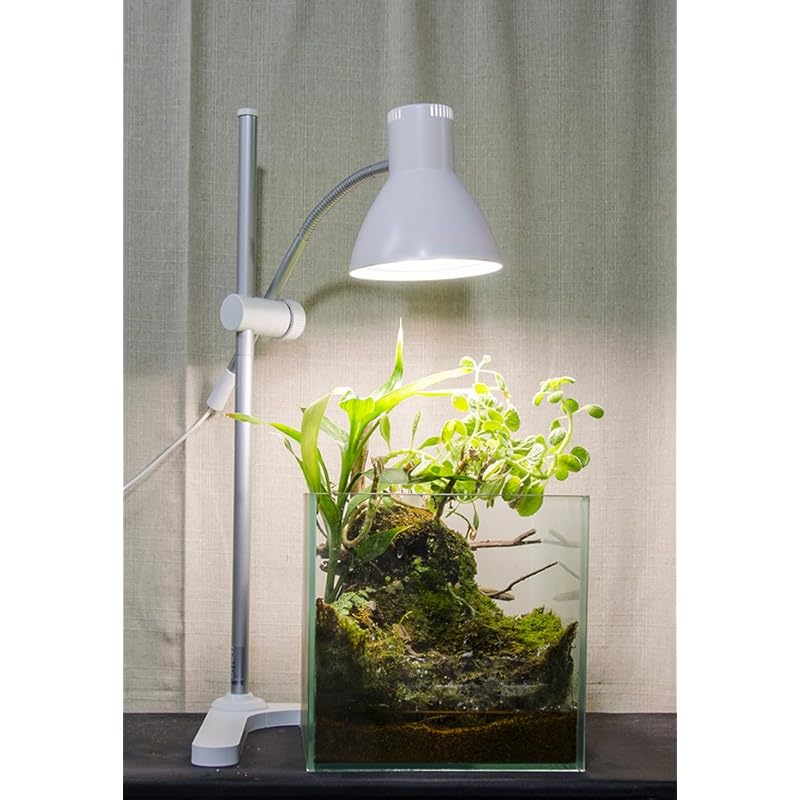 即納:GENTOS(ジェントス) テーブルランプ 植物育生ライト 800ルーメン IK-S72GWH 即納:GENTOS(ジェントス) テーブルランプ 植物育生ライト 800ルーメン IK-S72GWH