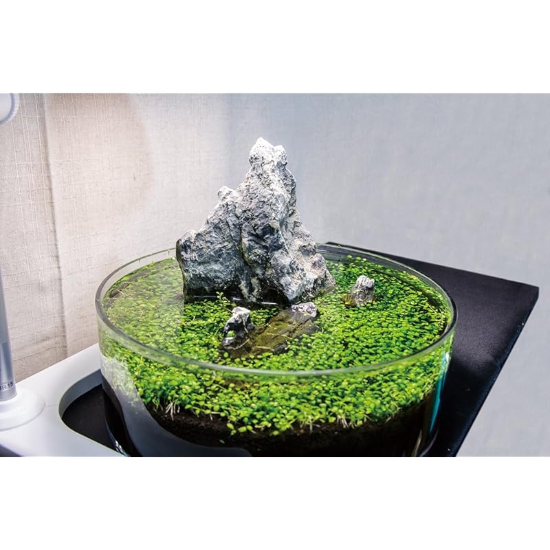 即納:GENTOS(ジェントス) テーブルランプ 植物育生ライト 800ルーメン IK-S72GWH 即納:GENTOS(ジェントス) テーブルランプ 植物育生ライト 800ルーメン IK-S72GWH