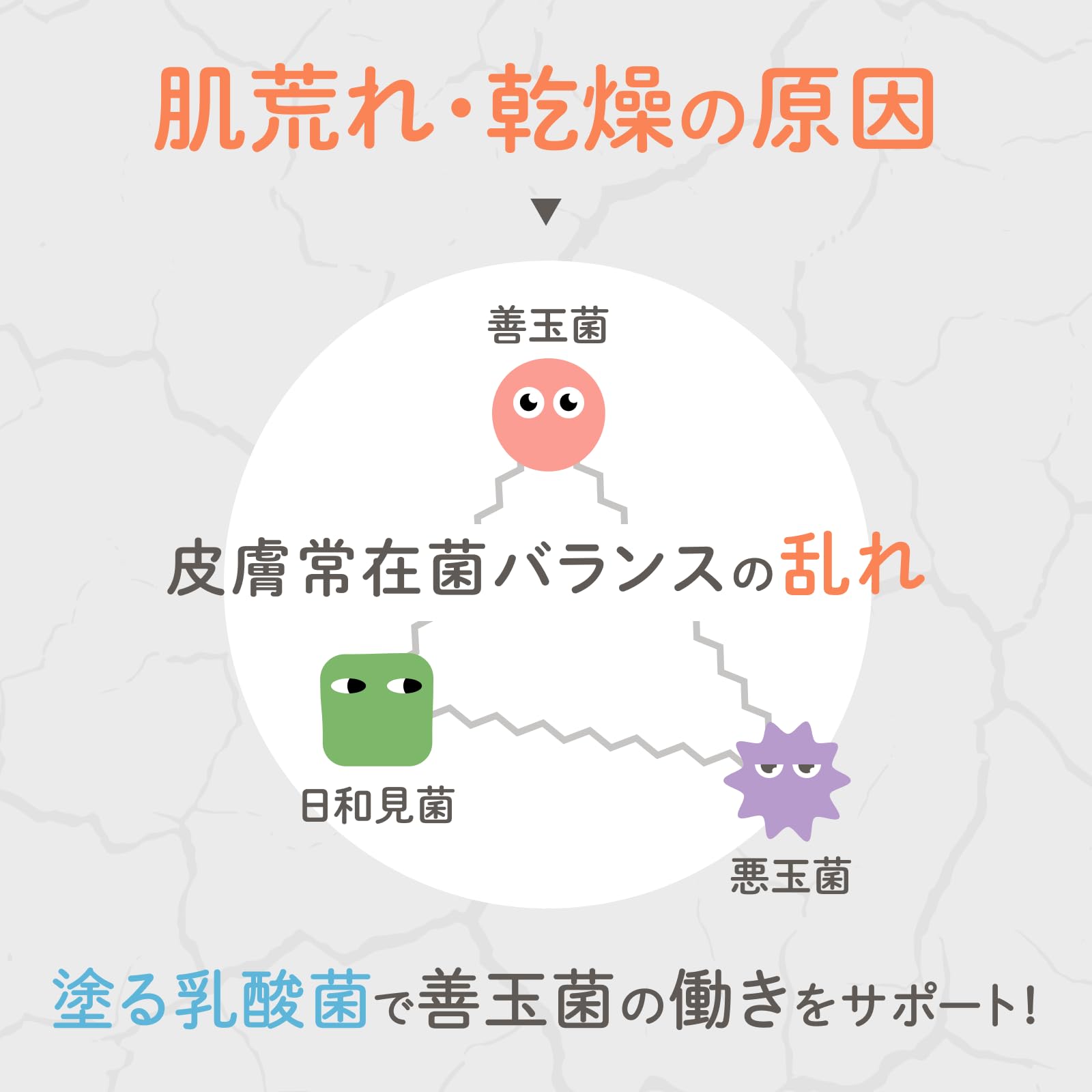 【赤ちゃん肌には乳酸菌】anduta ベビーローション 300mL 天然由来100% 塗る乳酸菌配合 無添加 高保湿 新生児~大人まで ベビーミルクローション 低刺激 ベタつかない 敏感肌 デリケート 【赤ちゃん肌には乳酸菌】anduta ベビーローション 300mL 天然由来100% 塗る乳酸菌配合 無添加 高保湿 新生児~大人まで ベビーミルクローション 低刺激 ベタつかない 敏感肌 デリケート