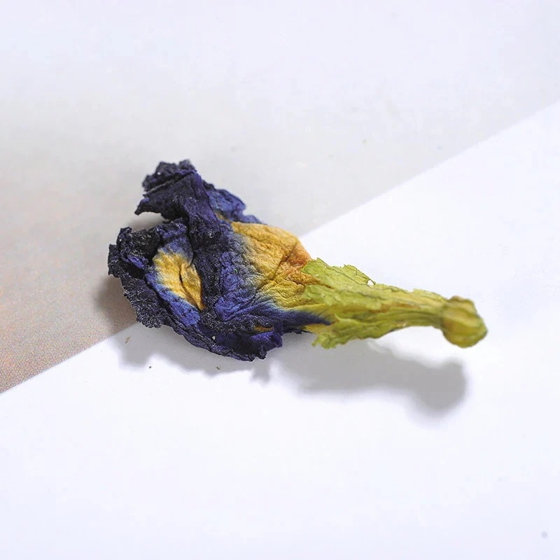 バタフライピー Butterfly pea 蝶豆花 アンチャン 蝶豆 青いハーブティー 500g業務用 お得サイズ