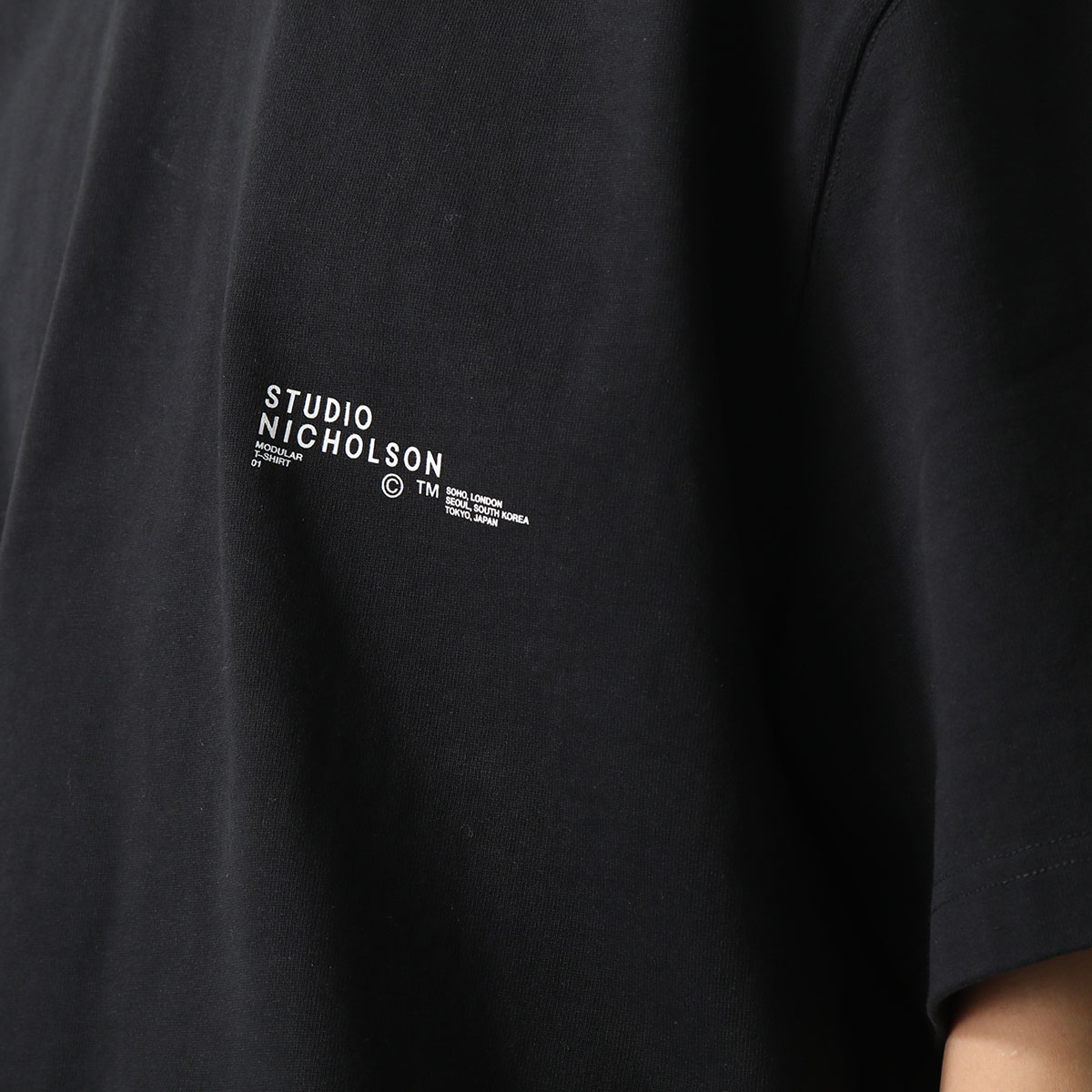 STUDIO NICHOLSON スタジオニコルソン Tシャツ MODULE SNM-1167 メンズ 半袖 カットソー ちびロゴT オーバーサイズ カラー2色