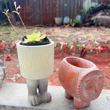 Qoo10] レトロライオンの植木鉢 多肉植物 屋内