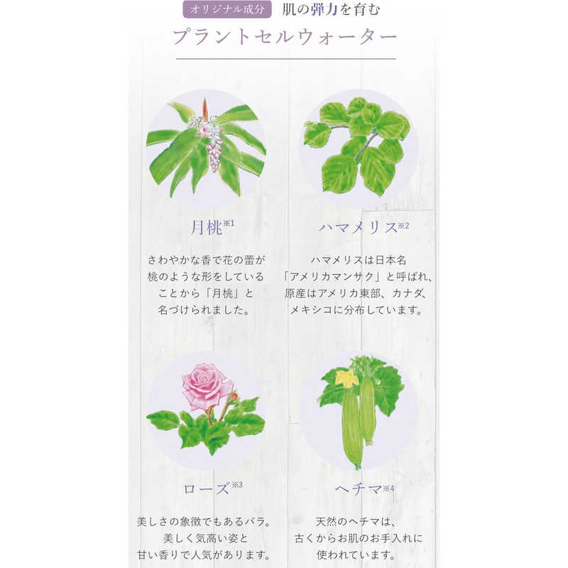 エックスワン インナップEX モイスチャーローション MD 300mL エックスワン インナップEX モイスチャーローション MD 300mL