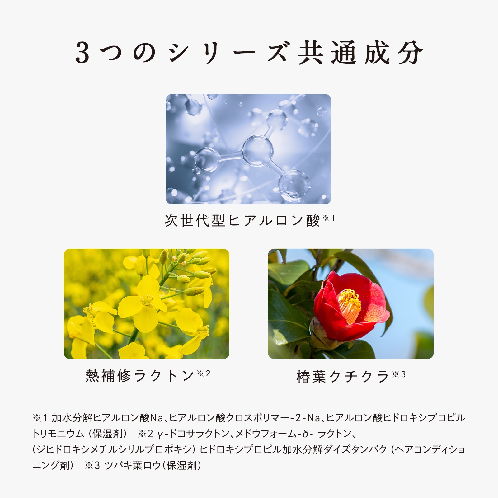 【ReFa公式】リファビューテックシャンプー 500mL & リファビューテックトリートメント 500g セット &リファビューテック ヘアマスク ReFa 【ReFa公式】リファビューテックシャンプー 500mL & リファビューテックトリートメント 500g セット &リファビューテック ヘアマスク ReFa