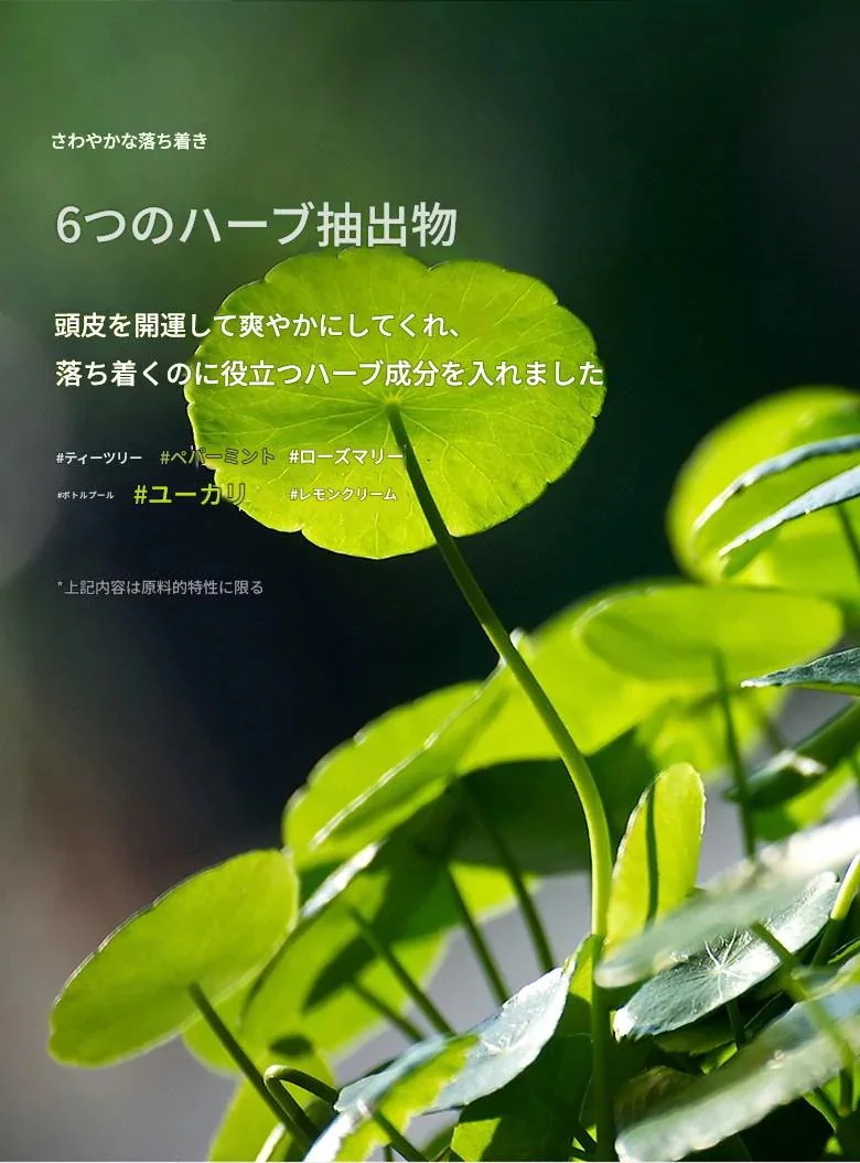 [ブーケガルニ] プレミアム香りでお届けします！！ ディープパフュームシルクケラチンシャンプー！！ 1.5L個 X4ea!! (3種選択可能)ベビーパウダー/ホワイトムスク/コットンパフューム