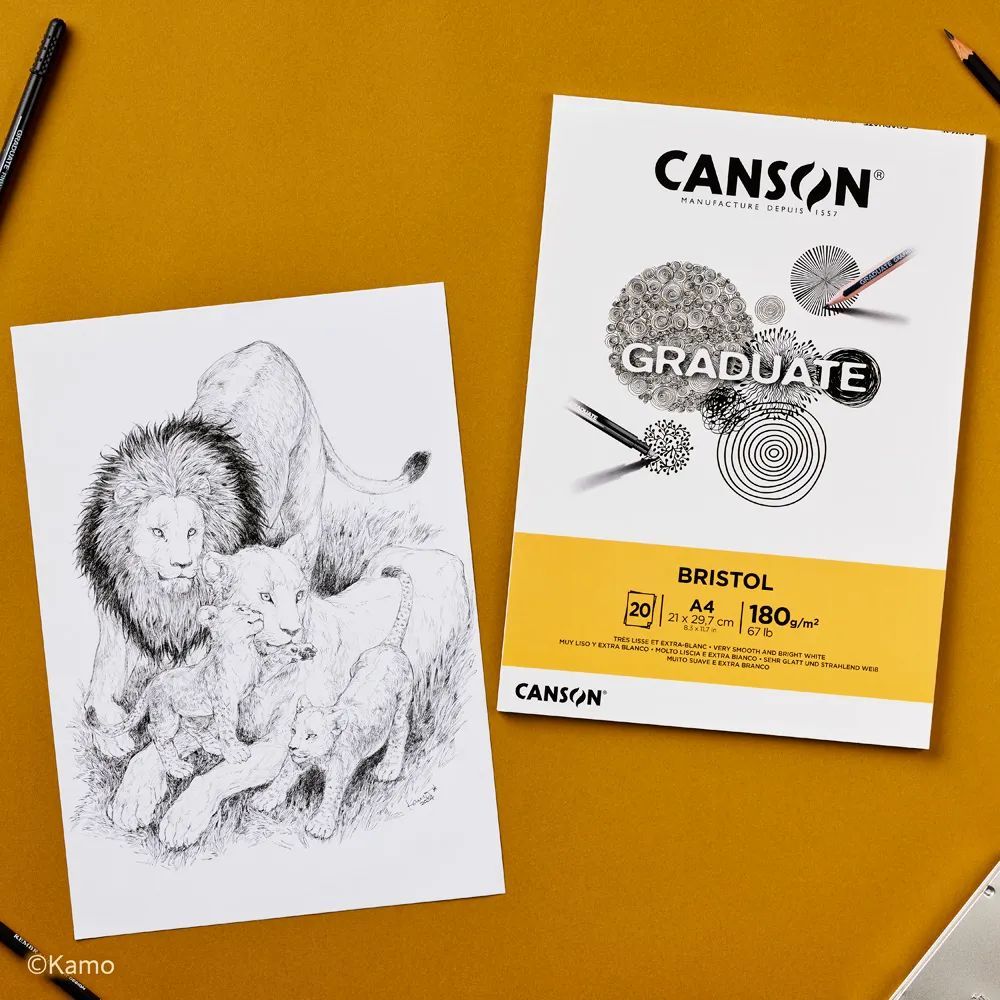 （まとめ買い）スケッチブック キャンソン グラジュエイト パッド ブリストル A4 20枚 C400110383 [x3]