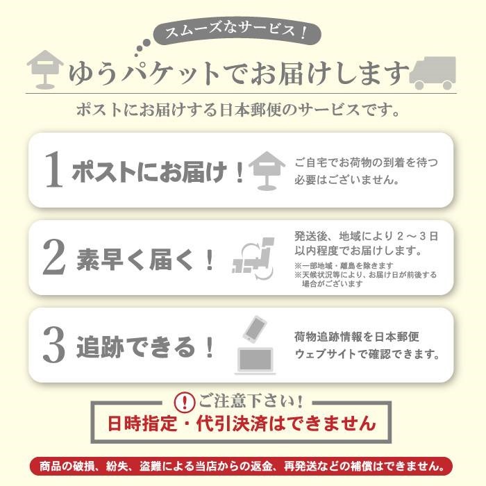 送料無料 チタンポスト 丸 メタルプレート ピアス 金属アレルギー 激安超安値 対応 チタン レディース アクセサリー おしゃれ かわいい シンプル ゴールド まる シルバー カジュアル 普段使い 大人