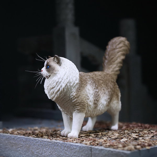 Qoo10] Mr.Z 1/6 サイズ ラグドール 猫