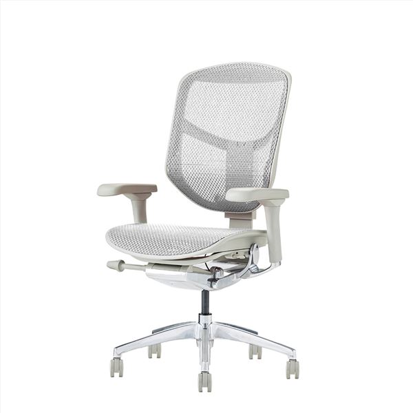 オフィスチェア デスクチェア [ロータイプ グレーフレームxホワイト] 肘付き リクライニング エルゴヒューマン エンジョイ2