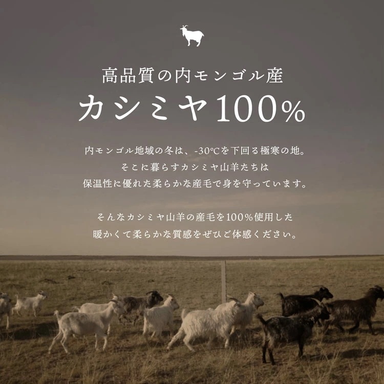 ラインストーン付きカシミヤマフラー ネコポス対応