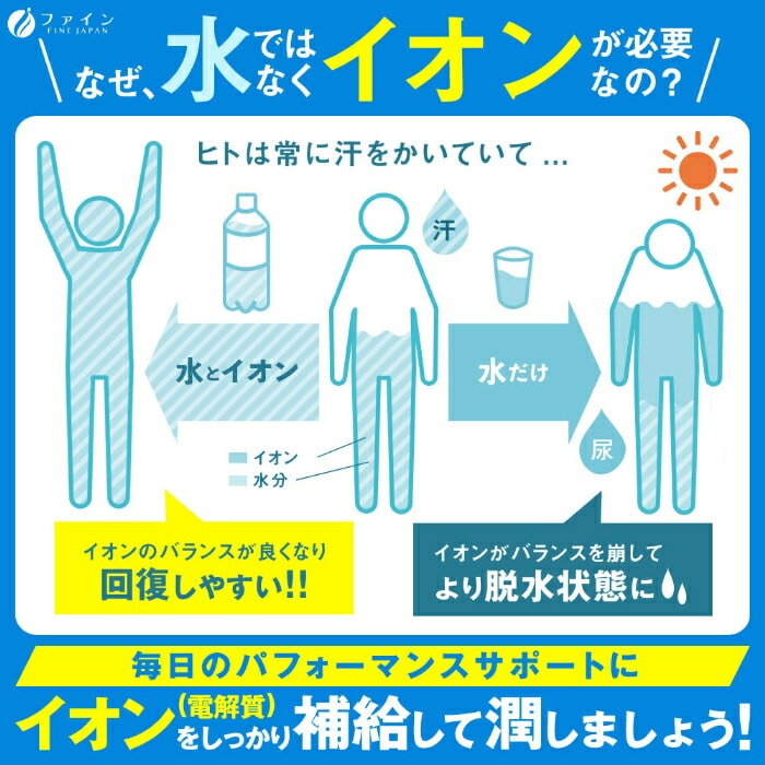 ファイン イオンドリンク 乳酸菌プラス ヨーグルト風味 (500ml用×20包) 10箱 (1箱入×10 まとめ買い) スポーツドリンク 粉末 ハイポトニック飲料 スティックタイプ 熱中症対策