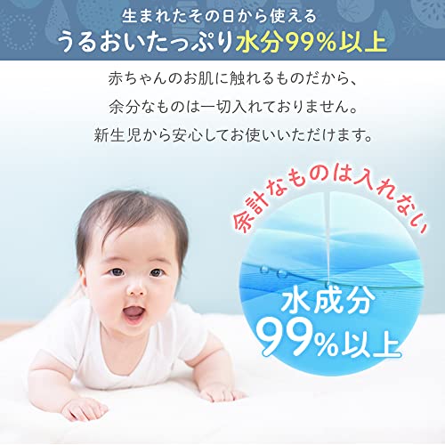 【手口ふき まとめ買い】アイリスプラザ 日本製 水分たっぷり99% 保湿成分配合 80枚36個(2880枚) やわらか ウェットティッシュ おしりふき