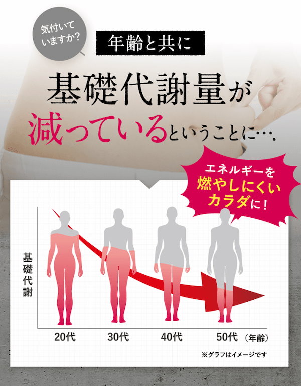 Qoo10] Re-CABO リカボ 30粒 3袋 【