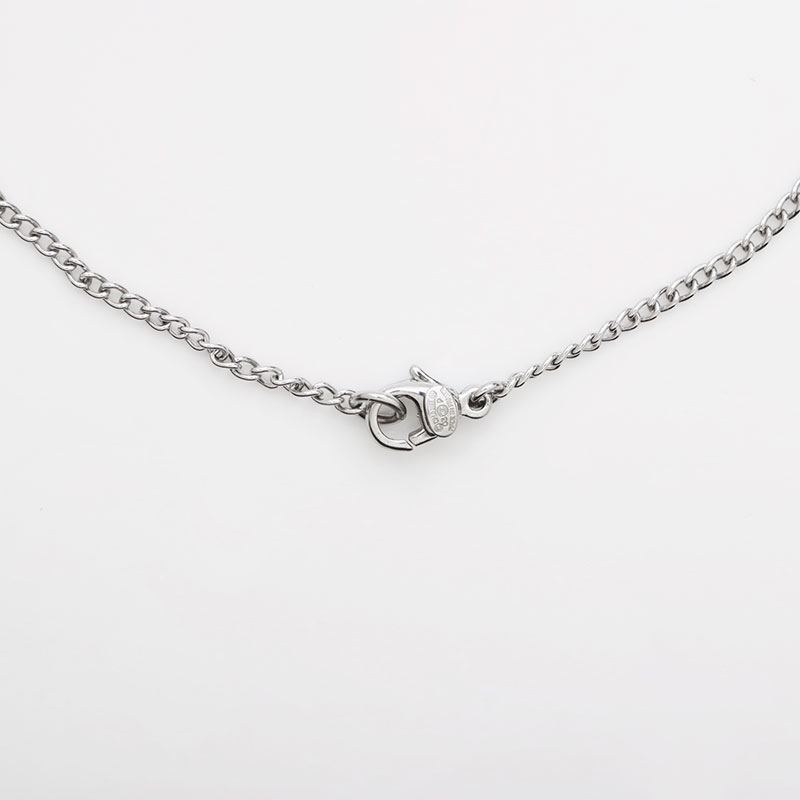 ネックレス シルバー WS12012