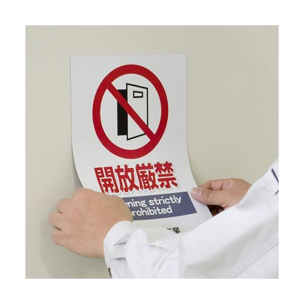 エーワン 屋外でも使えるサインラベルシール(レーザープリンター) 光沢フィルム・ホワイト A3 ノーカット 31044 1冊(5シート) (×10セット) エーワン 屋外でも使えるサインラベルシール(レーザープリンター) 光沢フィルム・ホワイト A3 ノーカット 31044 1冊(5シート) (×10セット)