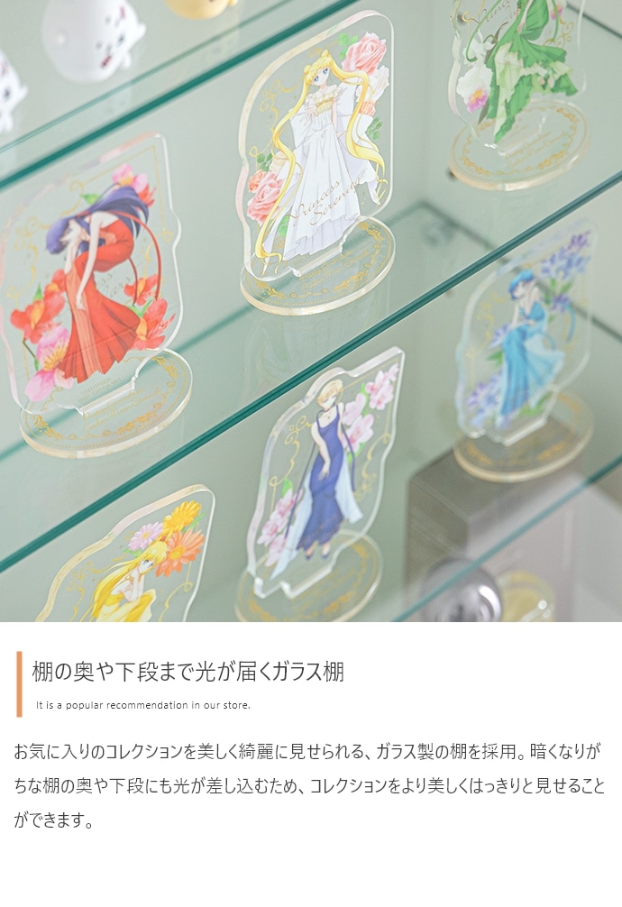 卓上 コレクションケース 60x40cm ガラス扉 ショーケース