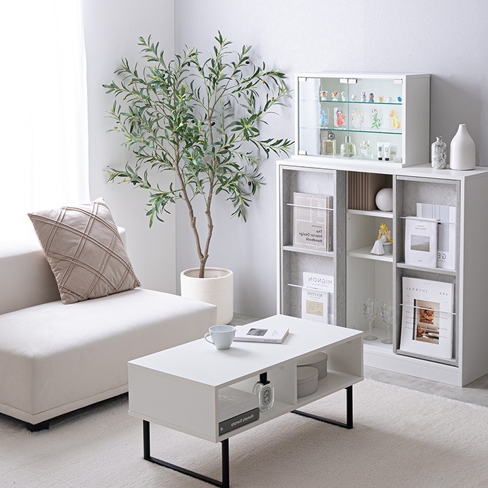 卓上 コレクションケース 60x40cm ガラス扉 ショーケース