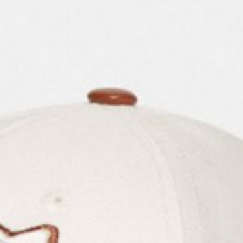 コーチ (コーチ) ベースボールハット CH793 CHK コーチ (コーチ) ベースボールハット CH793 CHK