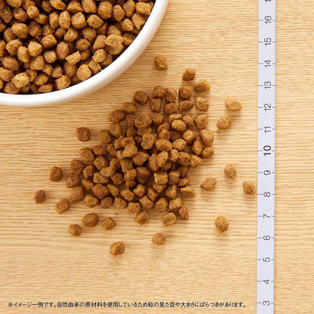 ニュートロ　超小型犬用　成犬用　チキン＆玄米　４ｋｇ　プレミアムチキン＋パウチ　１袋　おまけ付　ＣＲＣ45―02―53―20―00