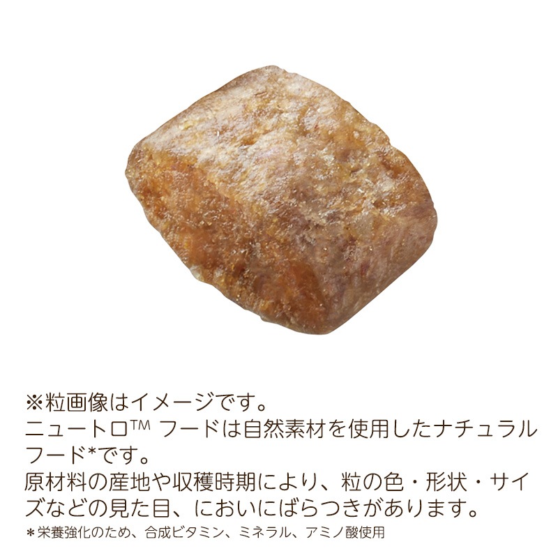 シュプレモ 超小型犬4kg以下 成犬用 4kg NS136 期限26/08/31以降 シュプレモ 超小型犬4kg以下 成犬用 4kg NS136 期限26/08/31以降