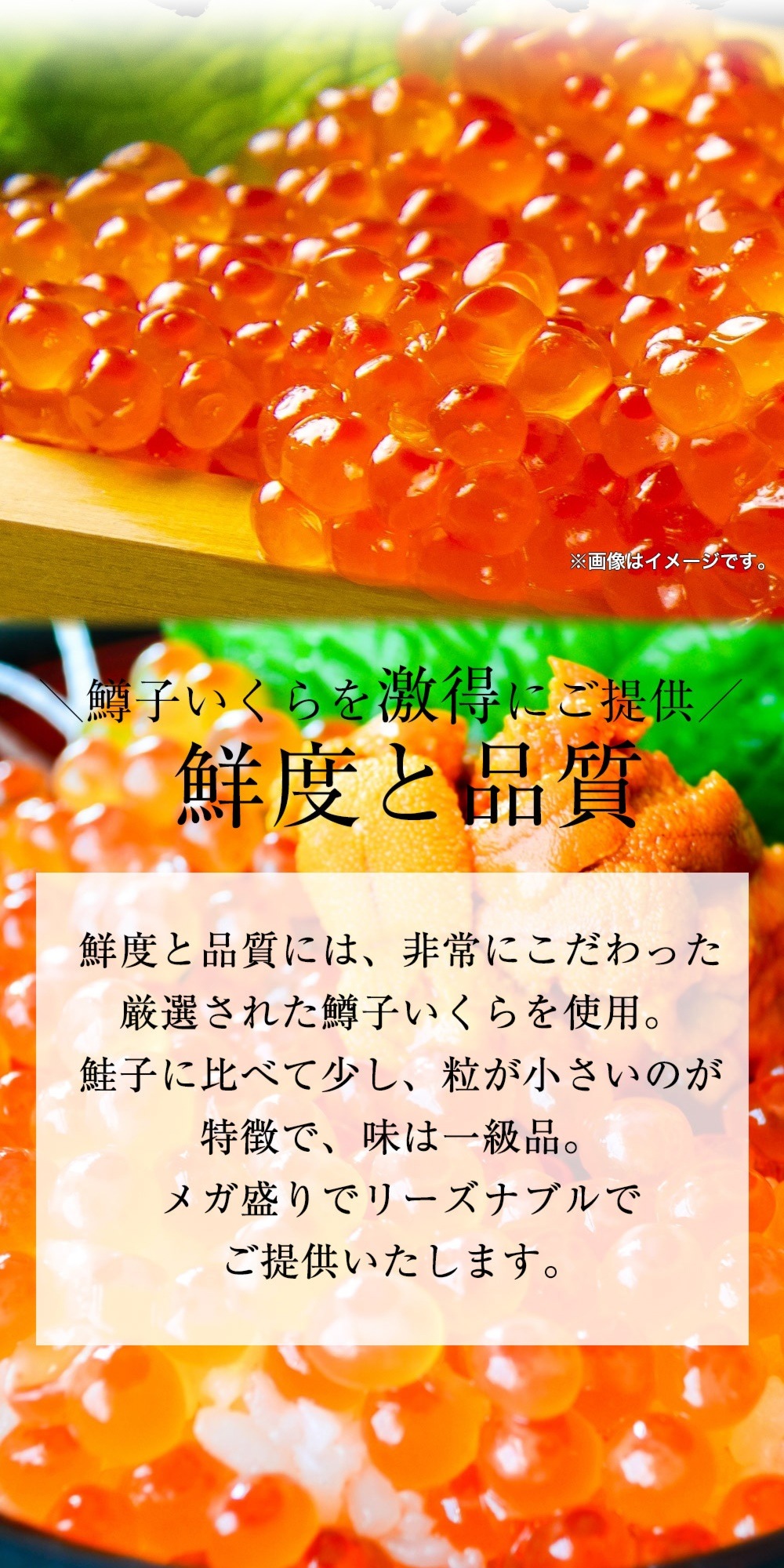 鱒子いくら イクラ醤油漬け 900g入り いくら丼 3色丼 海鮮丼