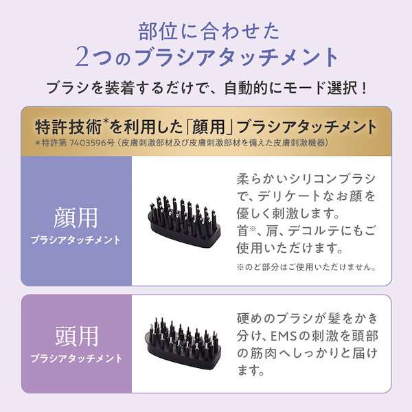 Qoo10] TBC パワーリフトブラシ PRO 美顔器 EM