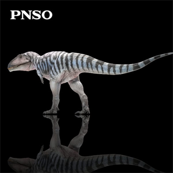 Qoo10] PNSO 成長シリーズ 69 メラクセス