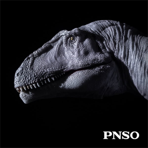 Qoo10] PNSO 成長シリーズ 69 メラクセス