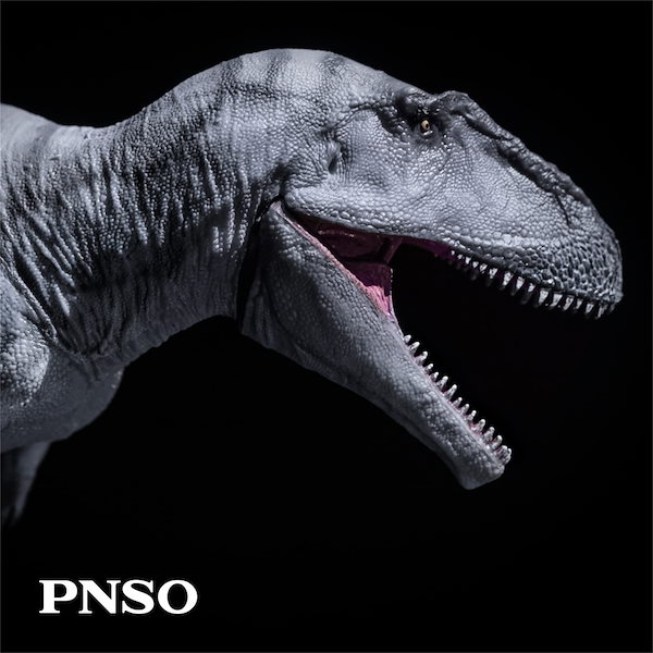 Qoo10] PNSO 成長シリーズ 69 メラクセス