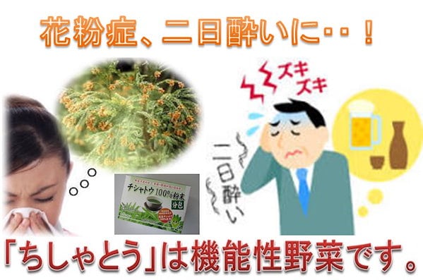 ちしゃとう 花粉症 アレルギー - 食品