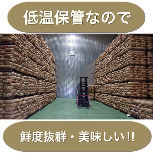 Qoo10] メガ割用【令和6年収穫】近江コスパ米 白