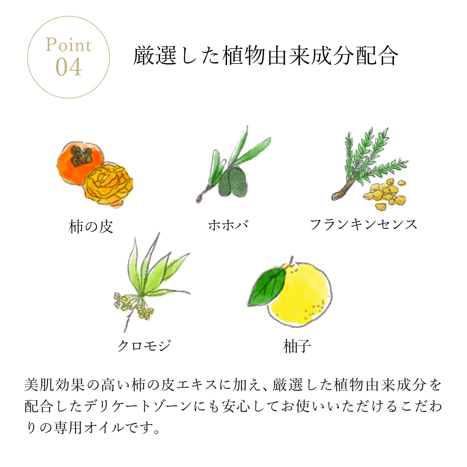 フェミニンオイル 60ml フェミニンケア デリケートケア デリケートゾーン 会陰マッサージ 乾燥肌 フェミニンオイル 60ml フェミニンケア デリケートケア デリケートゾーン 会陰マッサージ 乾燥肌