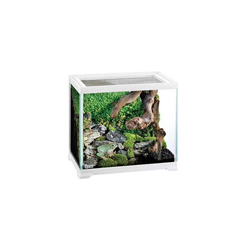 ガラス製 飼育ケージ 約60cm ホワイト 爬虫類 爬虫類ガラス飼育ケージ ホワイト 爬虫類 ガラスケージ 60cm