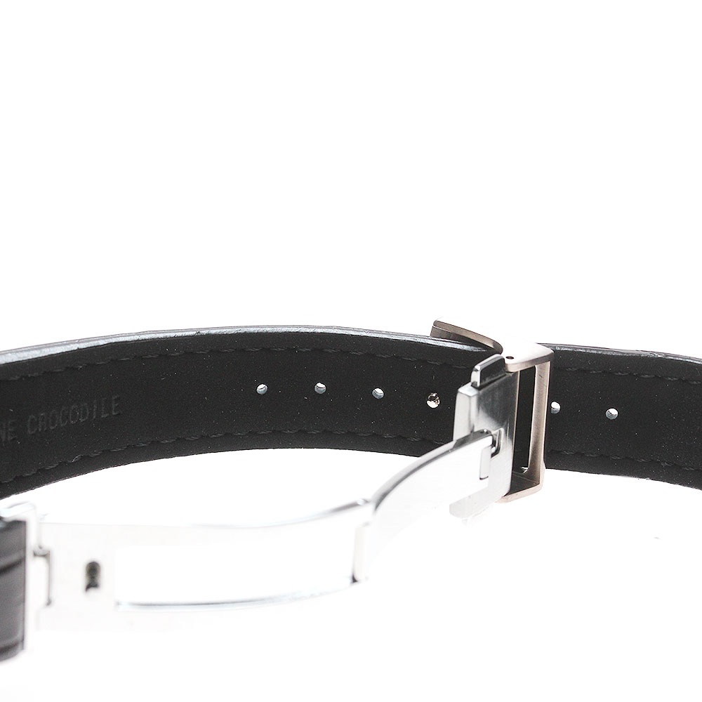 シチズン CITIZEN AQ4106-00W/A060-A1CT406 ザ・シチズン イヌワシ 世界限定300本 エコドライブ メンズ 極美品 箱・保証書付き_839167【中古】