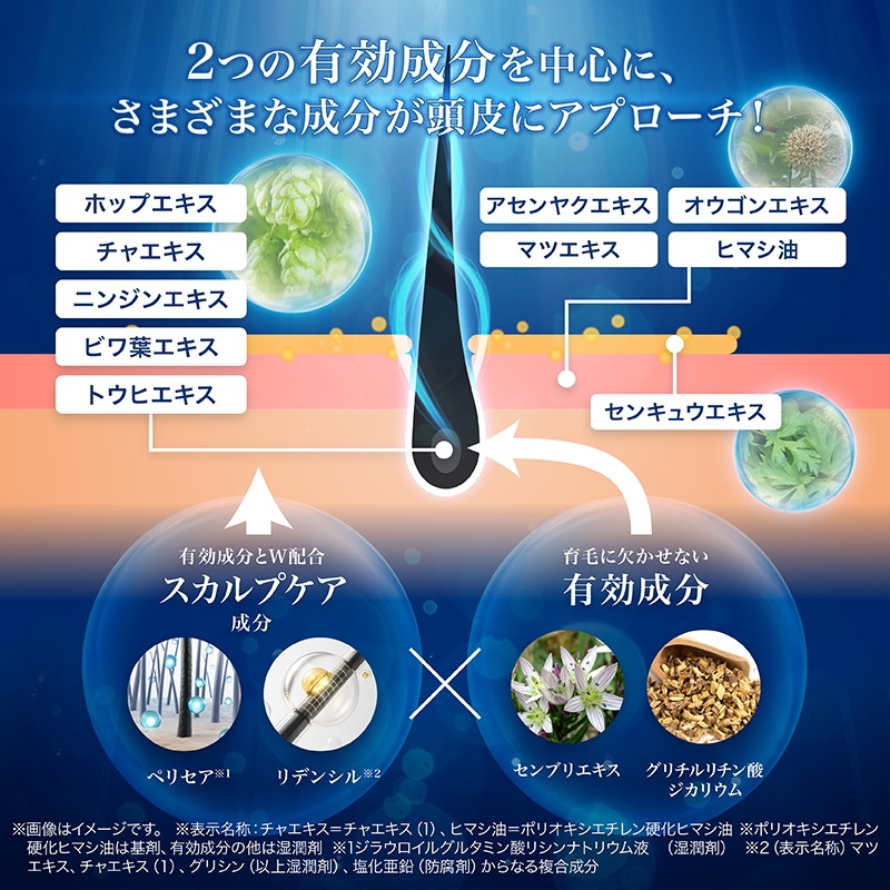 【ヘアケアセット】 トータルヘアケア メンズ シャンプー 200ml トリートメント 185ml トニック 100ml スカルプケア 日本製 ヒト幹細胞培養液配合 頭皮保湿ケア フケ かゆみ 【ヘアケアセット】 トータルヘアケア メンズ シャンプー 200ml トリートメント 185ml トニック 100ml スカルプケア 日本製 ヒト幹細胞培養液配合 頭皮保湿ケア フケ かゆみ