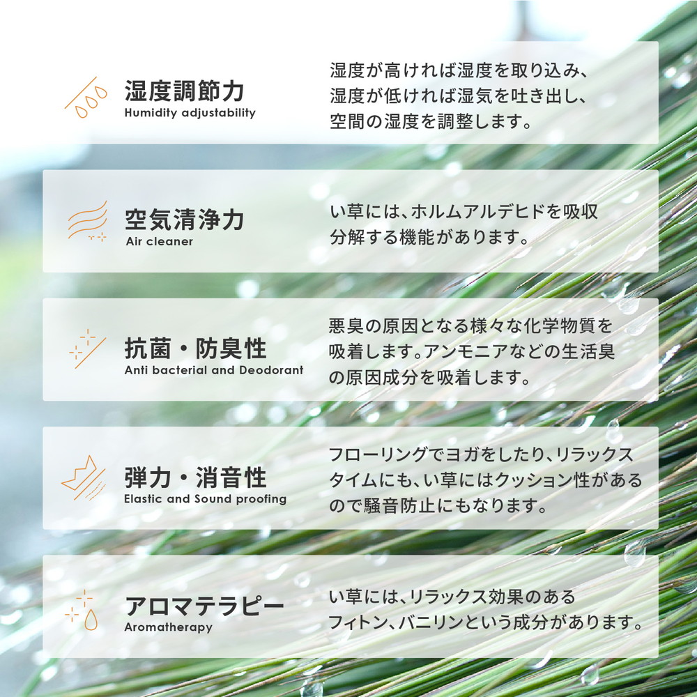 収納簡単 い草ふっくらラグ [キハチ] 240x320cm ブルー
