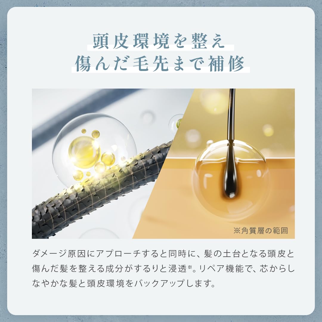 【美容室専売品】バイワンシー シャンプーに混ぜる美容液 トリートメント シャンプー ヘアブースター ヘアマスク コンディショナー 頭皮ケア 活性酸素除去 290g 【美容室専売品】バイワンシー シャンプーに混ぜる美容液 トリートメント シャンプー ヘアブースター ヘアマスク コンディショナー 頭皮ケア 活性酸素除去 290g