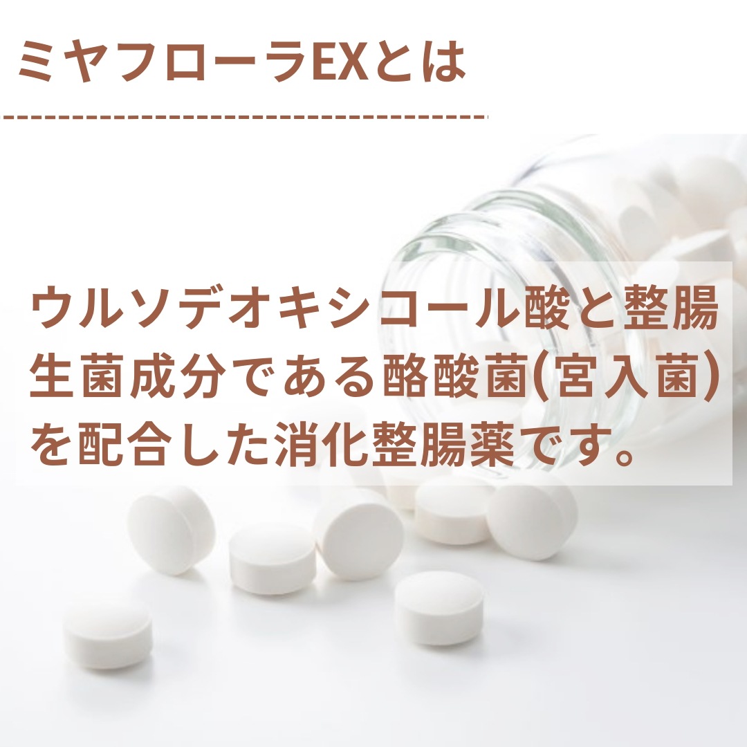 ミヤリサン製薬 ミヤフローラEX 230錠 6個セット 整腸 消化促進 ミヤリサン製薬 ミヤフローラEX 230錠 6個セット 整腸 消化促進