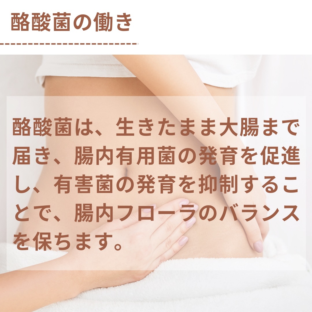 ミヤリサン製薬 ミヤフローラEX 230錠 6個セット 整腸 消化促進 ミヤリサン製薬 ミヤフローラEX 230錠 6個セット 整腸 消化促進