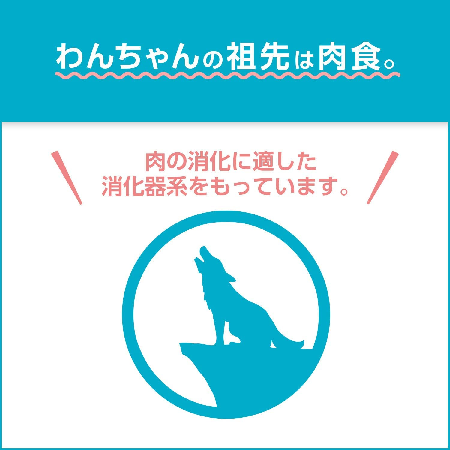 プロマネージ 成犬用 高たんぱくレシピ チキン 小粒 5kg(500g×10袋入) ドッグフード[ドライ・大容量小分け・グレインフリー・下部尿慮の健康維持・免疫力維持]【Amazon.co.jp限定】