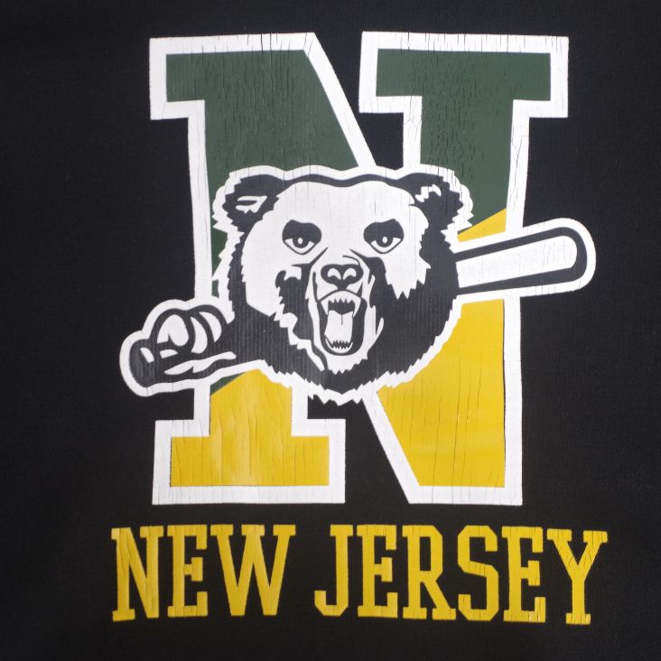 Champion チャンピオン KIDS トレーナー 裏起毛 スウェットシャツ クルーネック ボーイズ カジュアル カジュアル 肌触り 裏起毛素材 ルーズ 重ね着 デザイン リブ袖 CK-Y011 Champion チャンピオン KIDS トレーナー 裏起毛 スウェットシャツ クルーネック ボーイズ カジュアル カジュアル 肌触り 裏起毛素材 ルーズ 重ね着 デザイン リブ袖 CK-Y011