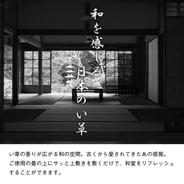 純国産 い草 上敷き はっ水 カーペット 双目織 三六間3畳(約182x273cm) 純国産 い草 上敷き はっ水 カーペット 双目織 三六間3畳(約182x273cm)