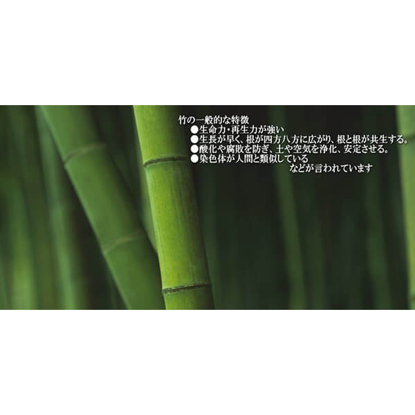 塩 天日塩 天然塩 波動の塩 450g 3袋セット 純金箔入り