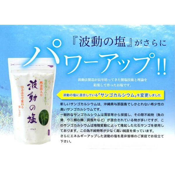 塩 天日塩 天然塩 波動の塩 450g 3袋セット 純金箔入り