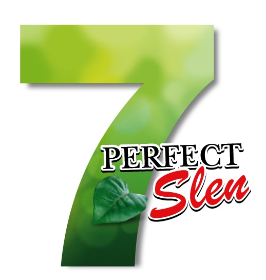 【正規品】ジェムズフード＆ドリンク ダイエット サプリメント [30錠×4袋(120日分)] Brain Boosting compleX 健康 美容 型番 BBX 120 blue